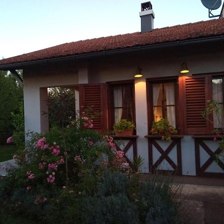 Nikolija 1 Apartment Bajina Basta Luaran gambar