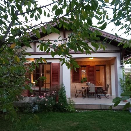 Nikolija 1 Apartment Bajina Basta Luaran gambar