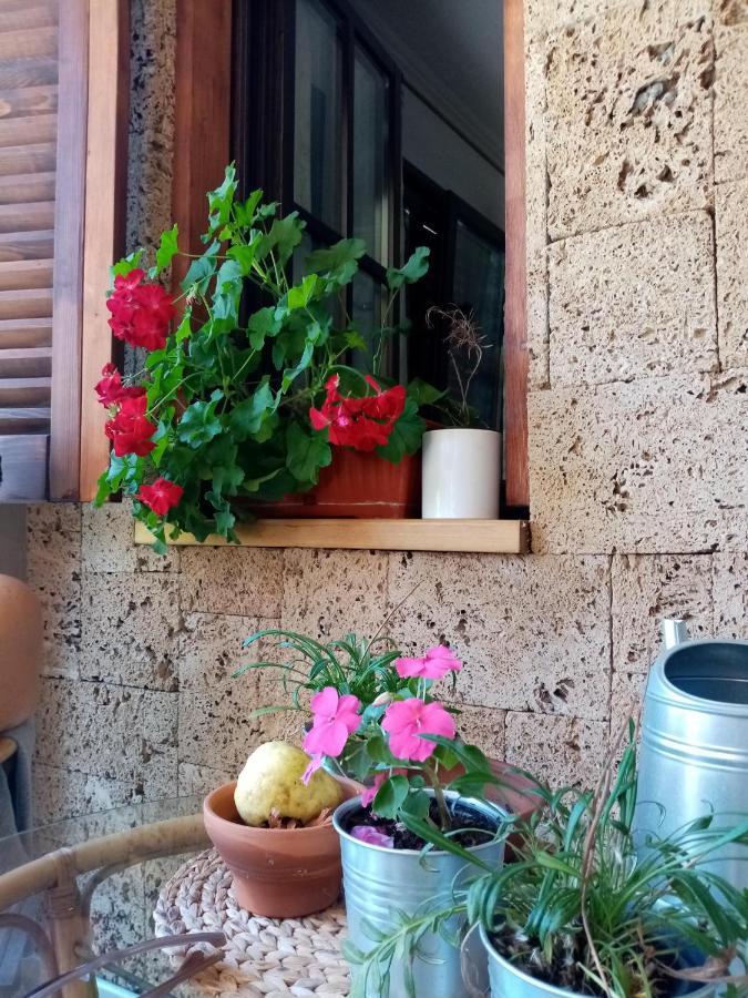 Nikolija 1 Apartment Bajina Basta Luaran gambar